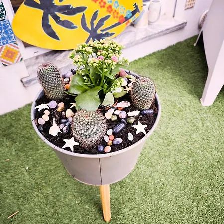 Lemontreeqse Apartman