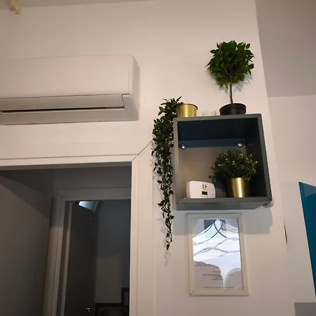 Lemontreeqse 콰르투 산텔레나